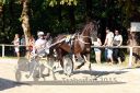Dateiname=20150815_07_002.JPG
Dateigröße=132KB
Abmessungen: 750x500
hinzugefügt am: 23. Dezember 2016 20150815_07_002.JPG