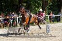 Dateiname=20150815_07_024.JPG
Dateigröße=155KB
Abmessungen: 750x500
hinzugefügt am: 23. Dezember 2016 20150815_07_024.JPG