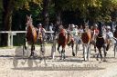 Dateiname=20150815_07_032.JPG
Dateigröße=164KB
Abmessungen: 750x500
hinzugefügt am: 23. Dezember 2016 20150815_07_032.JPG