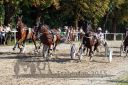 Dateiname=20150815_07_036.JPG
Dateigröße=181KB
Abmessungen: 750x500
hinzugefügt am: 23. Dezember 2016 20150815_07_036.JPG