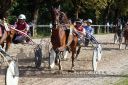Dateiname=20150815_07_064.JPG
Dateigröße=176KB
Abmessungen: 750x500
hinzugefügt am: 23. Dezember 2016 20150815_07_064.JPG