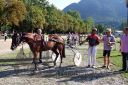 Dateiname=20150815_07_088.JPG
Dateigröße=187KB
Abmessungen: 750x500
hinzugefügt am: 23. Dezember 2016 20150815_07_088.JPG