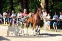 Dateiname=20150815_07_093.JPG
Dateigröße=145KB
Abmessungen: 750x500
hinzugefügt am: 23. Dezember 2016 20150815_07_093.JPG