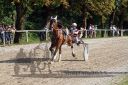 Dateiname=20150815_08_36.JPG
Dateigröße=178KB
Abmessungen: 750x500
hinzugefügt am: 23. Dezember 2016 20150815_08_36.JPG