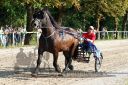 Dateiname=20150815_09_24.JPG
Dateigröße=182KB
Abmessungen: 750x500
hinzugefügt am: 23. Dezember 2016 20150815_09_24.JPG