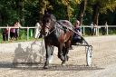 Dateiname=20150815_09_27.JPG
Dateigröße=167KB
Abmessungen: 750x500
hinzugefügt am: 23. Dezember 2016 20150815_09_27.JPG