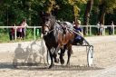 Dateiname=20150815_09_28.JPG
Dateigröße=161KB
Abmessungen: 750x500
hinzugefügt am: 23. Dezember 2016 20150815_09_28.JPG