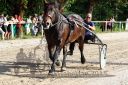 Dateiname=20150815_09_30.JPG
Dateigröße=174KB
Abmessungen: 750x500
hinzugefügt am: 23. Dezember 2016 20150815_09_30.JPG