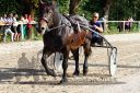 Dateiname=20150815_09_31.JPG
Dateigröße=170KB
Abmessungen: 750x500
hinzugefügt am: 23. Dezember 2016 20150815_09_31.JPG