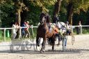 Dateiname=20150815_09_32.JPG
Dateigröße=172KB
Abmessungen: 750x500
hinzugefügt am: 23. Dezember 2016 20150815_09_32.JPG