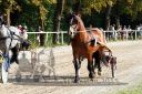 Dateiname=20150815_09_36.JPG
Dateigröße=155KB
Abmessungen: 750x500
hinzugefügt am: 23. Dezember 2016 20150815_09_36.JPG