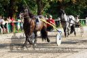 Dateiname=20150815_09_37.JPG
Dateigröße=176KB
Abmessungen: 750x500
hinzugefügt am: 23. Dezember 2016 20150815_09_37.JPG