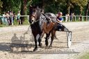 Dateiname=20150815_09_45.JPG
Dateigröße=174KB
Abmessungen: 750x500
hinzugefügt am: 23. Dezember 2016 20150815_09_45.JPG
