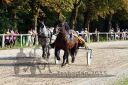 Dateiname=20150815_09_48.JPG
Dateigröße=173KB
Abmessungen: 750x500
hinzugefügt am: 23. Dezember 2016 20150815_09_48.JPG