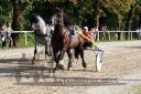 Dateiname=20150815_09_50.JPG
Dateigröße=179KB
Abmessungen: 750x500
hinzugefügt am: 23. Dezember 2016 20150815_09_50.JPG