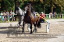 Dateiname=20150815_09_51.JPG
Dateigröße=176KB
Abmessungen: 750x500
hinzugefügt am: 23. Dezember 2016 20150815_09_51.JPG