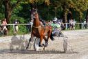 Dateiname=20150815_10_017.JPG
Dateigröße=156KB
Abmessungen: 750x500
hinzugefügt am: 23. Dezember 2016 20150815_10_017.JPG