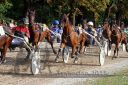 Dateiname=20150815_10_036.JPG
Dateigröße=176KB
Abmessungen: 750x500
hinzugefügt am: 23. Dezember 2016 20150815_10_036.JPG