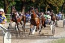 Dateiname=20150815_10_038.JPG
Dateigröße=172KB
Abmessungen: 750x500
hinzugefügt am: 23. Dezember 2016 20150815_10_038.JPG