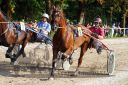 Dateiname=20150815_10_039.JPG
Dateigröße=155KB
Abmessungen: 750x500
hinzugefügt am: 23. Dezember 2016 20150815_10_039.JPG