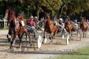 Dateiname=20150815_10_046.JPG
Dateigröße=181KB
Abmessungen: 750x500
hinzugefügt am: 23. Dezember 2016 20150815_10_046.JPG