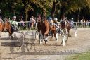 Dateiname=20150815_10_065.JPG
Dateigröße=179KB
Abmessungen: 750x500
hinzugefügt am: 23. Dezember 2016 20150815_10_065.JPG