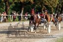 Dateiname=20150815_10_082.JPG
Dateigröße=181KB
Abmessungen: 750x500
hinzugefügt am: 23. Dezember 2016 20150815_10_082.JPG