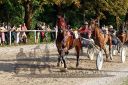 Dateiname=20150815_10_083.JPG
Dateigröße=179KB
Abmessungen: 750x500
hinzugefügt am: 23. Dezember 2016 20150815_10_083.JPG