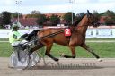 Dateiname=20150906_08_021.JPG
Dateigröße=107KB
Abmessungen: 750x500
hinzugefügt am: 23. Dezember 2016 20150906_08_021.JPG