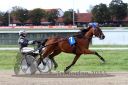Dateiname=20150906_09_102.JPG
Dateigröße=108KB
Abmessungen: 750x500
hinzugefügt am: 23. Dezember 2016 20150906_09_102.JPG