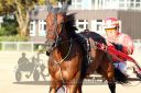 Dateiname=20150906_12_043.JPG
Dateigröße=104KB
Abmessungen: 750x500
hinzugefügt am: 23. Dezember 2016 20150906_12_043.JPG
