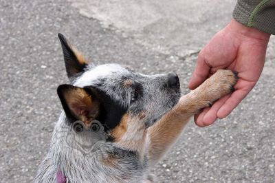 20150906_ja_101.JPG