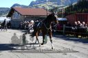Dateiname=20151026_02_01.JPG
Dateigröße=135KB
Abmessungen: 750x500
hinzugefügt am: 09. Januar 2017 20151026_02_01.JPG