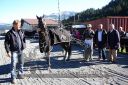 Dateiname=20151026_02_83.JPG
Dateigröße=148KB
Abmessungen: 750x500
hinzugefügt am: 09. Januar 2017 20151026_02_83.JPG