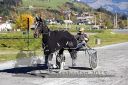 Dateiname=20151026_02_86.JPG
Dateigröße=146KB
Abmessungen: 750x500
hinzugefügt am: 09. Januar 2017 20151026_02_86.JPG