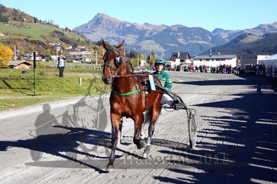 20151026_04_07.JPG