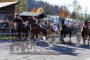 Dateiname=20151026_05_26.JPG
Dateigröße=172KB
Abmessungen: 750x500
hinzugefügt am: 09. Januar 2017 20151026_05_26.JPG