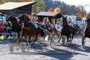 Dateiname=20151026_05_27.JPG
Dateigröße=164KB
Abmessungen: 750x500
hinzugefügt am: 09. Januar 2017 20151026_05_27.JPG