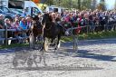 Dateiname=20151026_05_58.JPG
Dateigröße=162KB
Abmessungen: 750x500
hinzugefügt am: 09. Januar 2017 20151026_05_58.JPG
