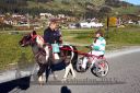 Dateiname=20151026_06_081.JPG
Dateigröße=155KB
Abmessungen: 750x500
hinzugefügt am: 09. Januar 2017 20151026_06_081.JPG