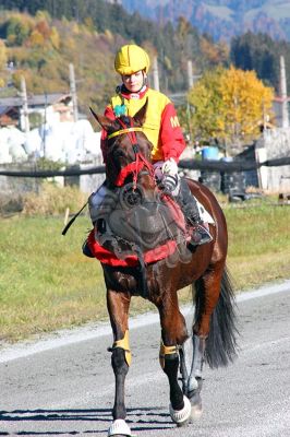 20151026_ja_082.JPG