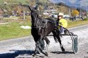 Dateiname=20151026_ja_014.JPG
Dateigröße=149KB
Abmessungen: 750x500
hinzugefügt am: 09. Januar 2017 20151026_ja_014.JPG