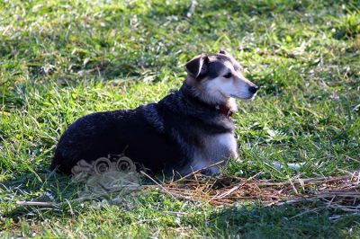 20151026_ja_090.JPG