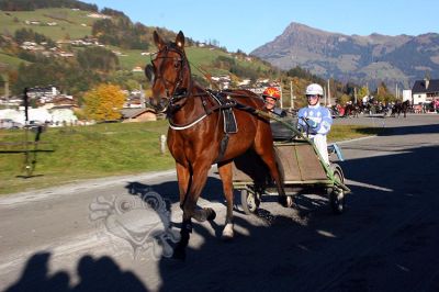 20151026_ja_164.JPG