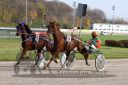 Dateiname=20151108_q2_07.JPG
Dateigröße=130KB
Abmessungen: 750x500
hinzugefügt am: 09. Januar 2017 20151108_q2_07.JPG