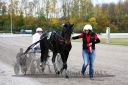 Dateiname=20151108_03_86.JPG
Dateigröße=132KB
Abmessungen: 750x500
hinzugefügt am: 09. Januar 2017 20151108_03_86.JPG