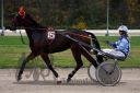 Dateiname=20151108_06_13.JPG
Dateigröße=101KB
Abmessungen: 750x500
hinzugefügt am: 09. Januar 2017 20151108_06_13.JPG