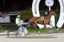 Dateiname=20151111_06_31.JPG
Dateigröße=97KB
Abmessungen: 750x500
hinzugefügt am: 09. Januar 2017 20151111_06_31.JPG