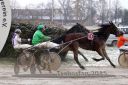Dateiname=20151122_03_067.JPG
Dateigröße=119KB
Abmessungen: 750x500
hinzugefügt am: 09. Januar 2017 20151122_03_067.JPG