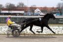 Dateiname=20151122_04_01.JPG
Dateigröße=111KB
Abmessungen: 750x500
hinzugefügt am: 09. Januar 2017 20151122_04_01.JPG
